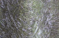 Lavendon fibreglass roof work